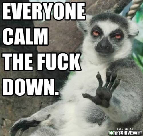 calm-the-fuck-down-lemur.jpg