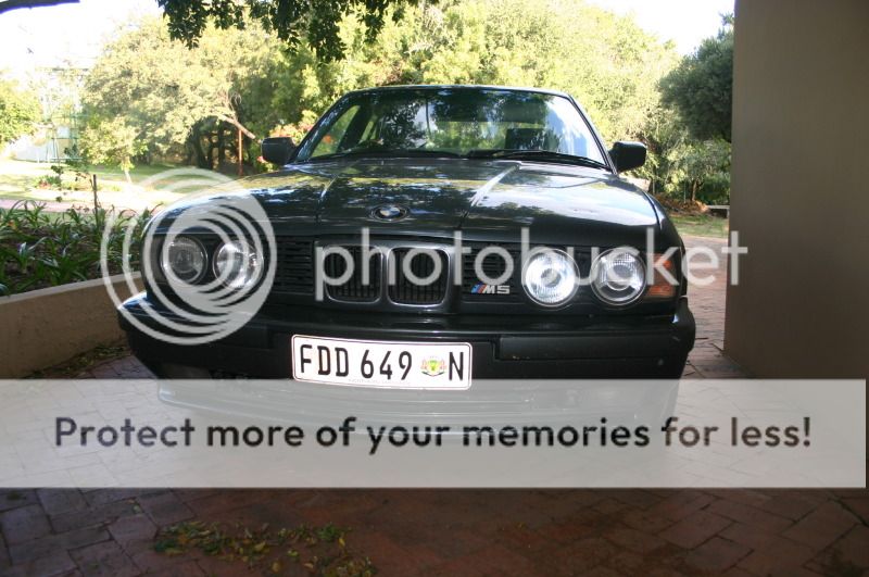 M5e34017.jpg