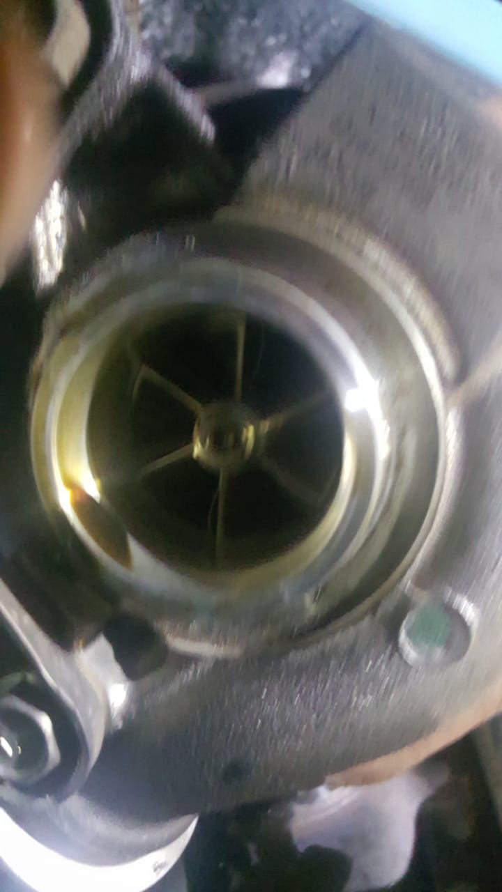 img-20180608-wa0001_4463422833.jpg