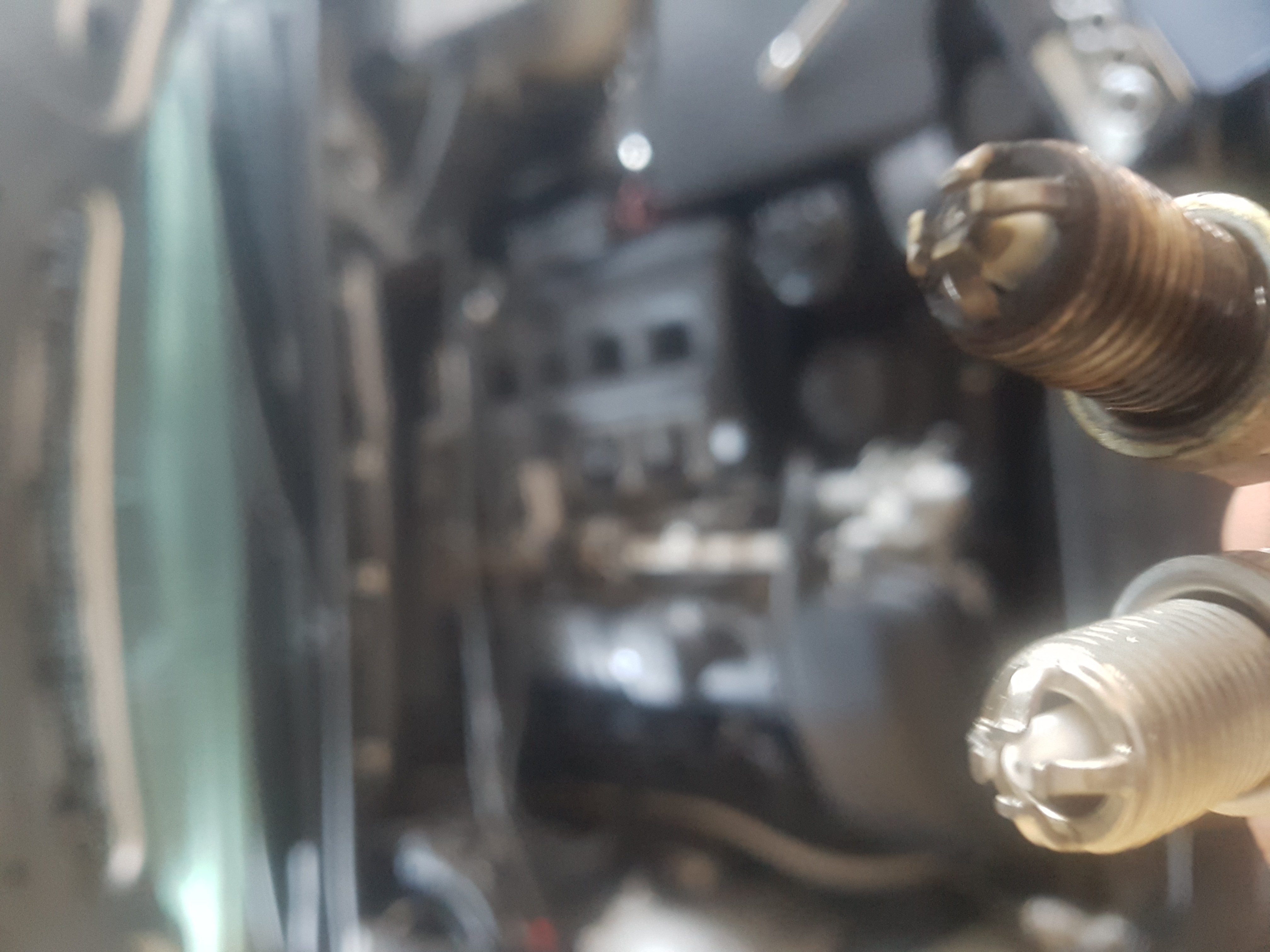 20190610_164229_3173538427.jpg