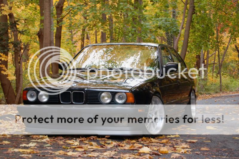 FallShoot34.jpg