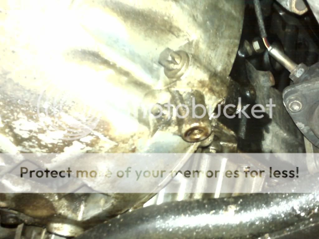 14Sept2010043.jpg