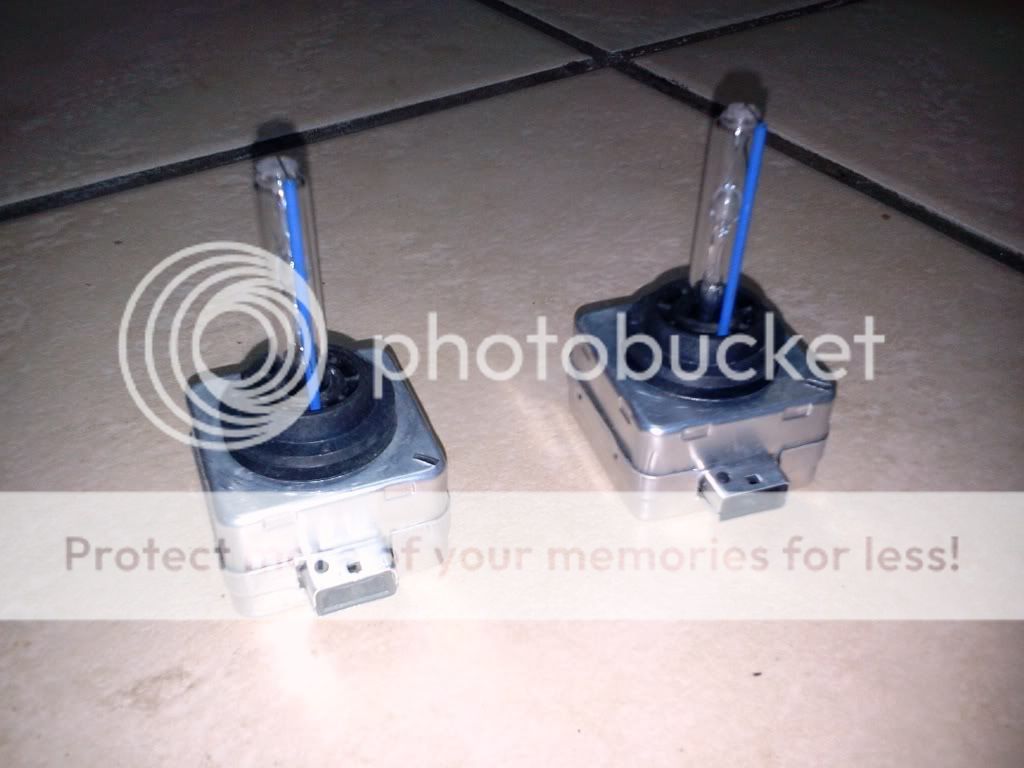 2012-02-23205531.jpg