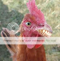 chicken_with_teeth_zps50d4169c.jpeg