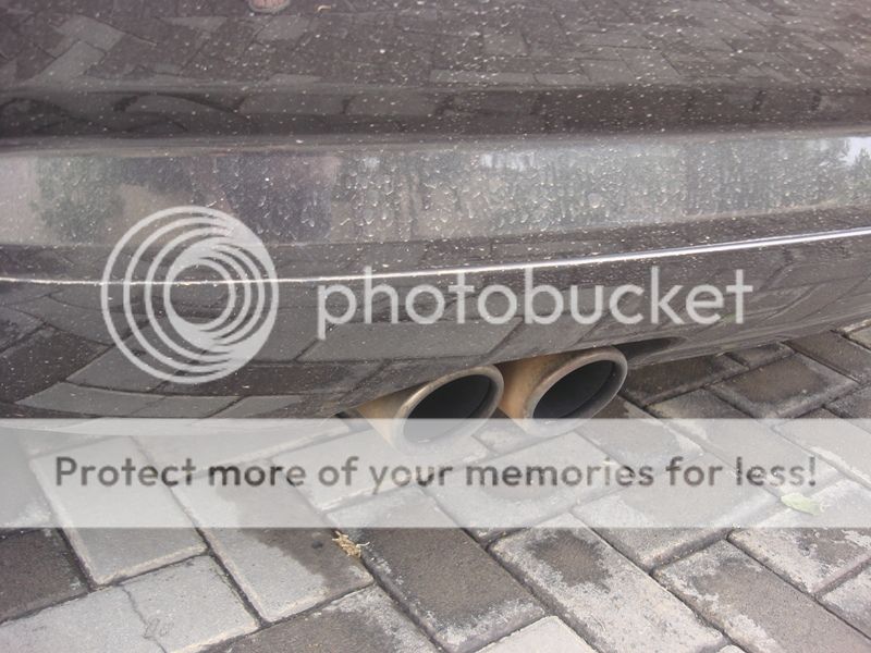 DSC08009.jpg