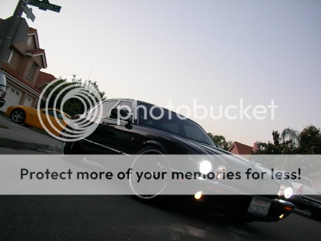 SANY0936.jpg