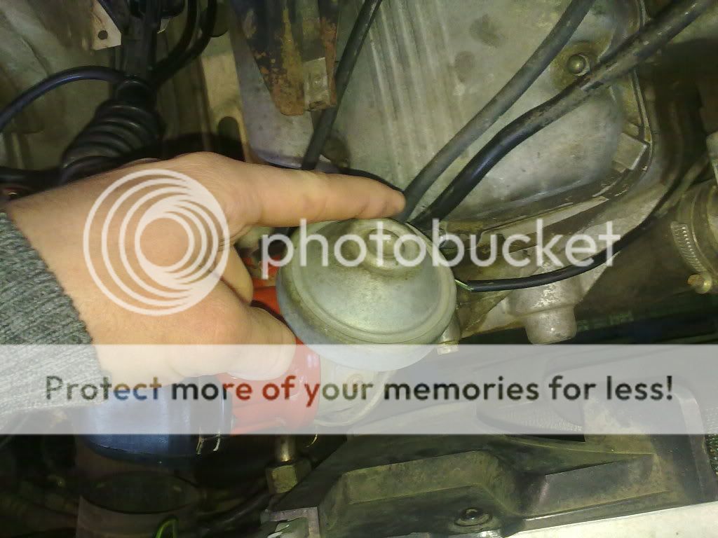 07092010066.jpg