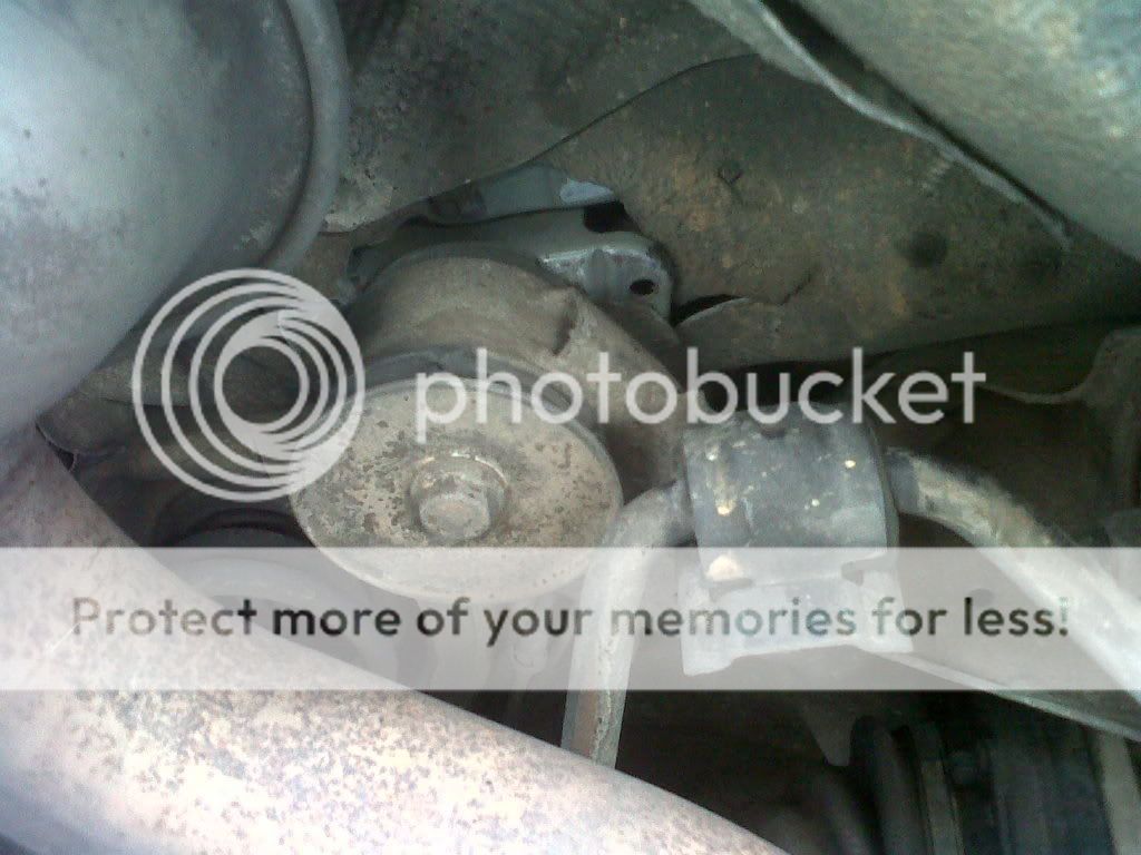 IMG00046-20101124-1001.jpg