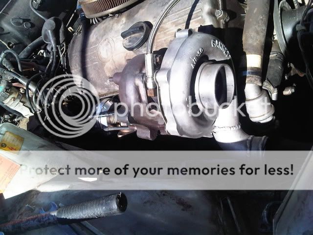 IMG00930-20110702-1256.jpg