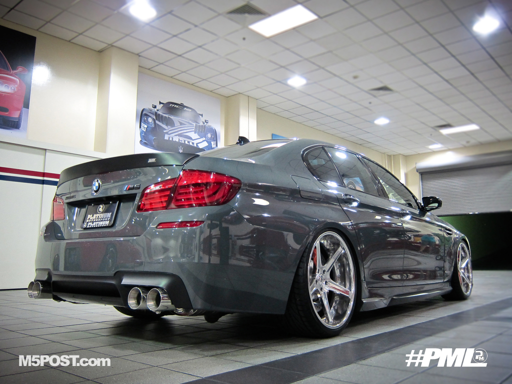 pml-f10-m5-11.jpg