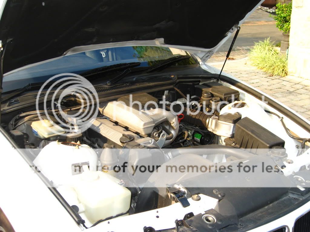 1992E36316i-engine2.jpg