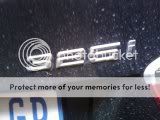 badge.jpg