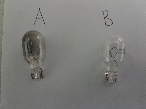 bulb_2883626623.jpg