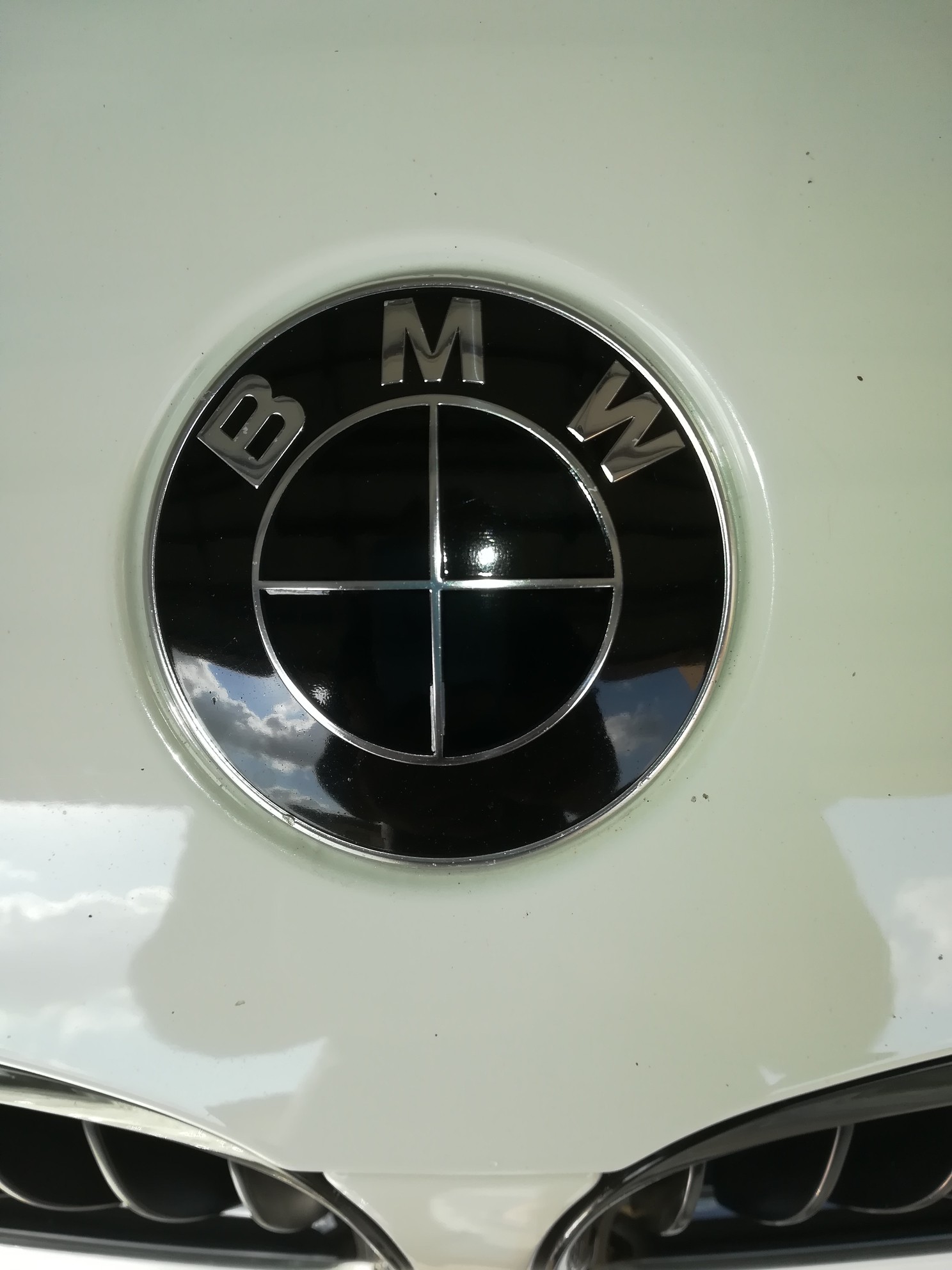 webp.net-resizeimage (2)_5320968591.jpg