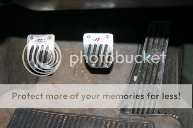 M5e34023.jpg