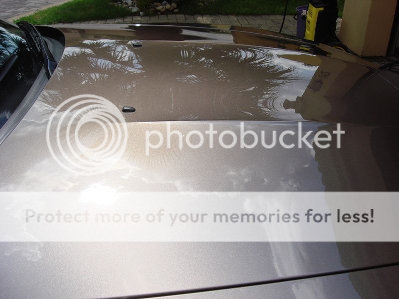 DSC08430_zps9ad66cb0.jpg