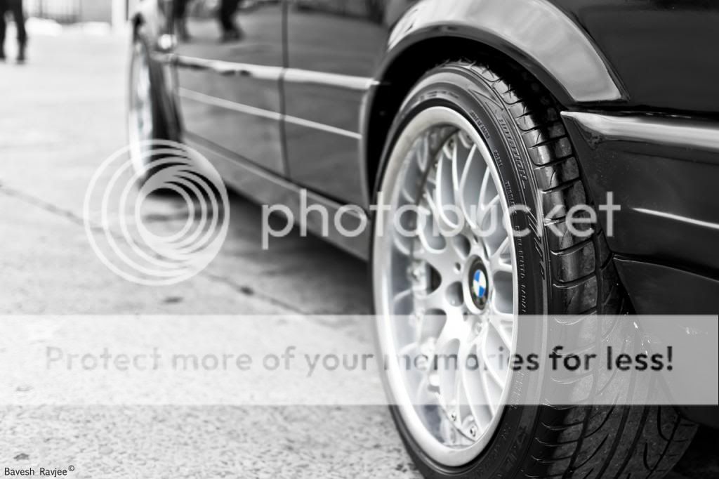 DSC_0454_zps1d7556eb.jpg