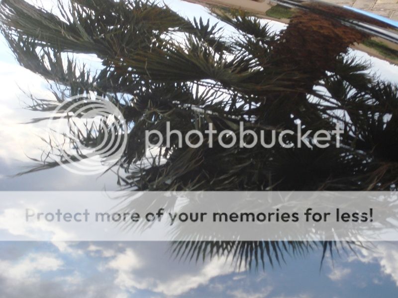 DSC08352_zps901d3dfb.jpg