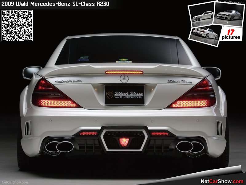 Wald-Mercedes-Benz_SL-Class_R230_2009_1600x1200_wallpaper_07.jpg