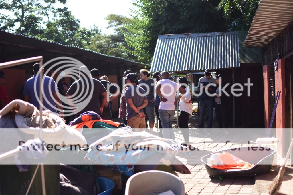DSC_0529_zpstxtlkaih.jpg