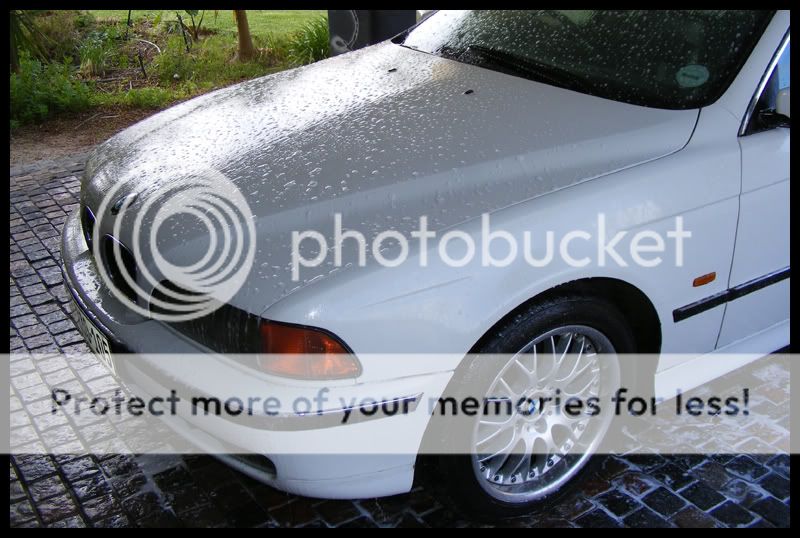 DSCF1806.jpg