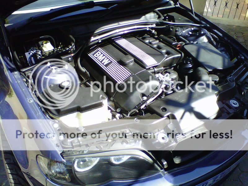 IMG00583-20111009-0929.jpg