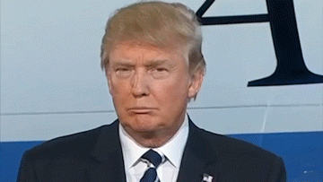 xtitnhxbroaz1b1mo8[1]_7645202958.gif