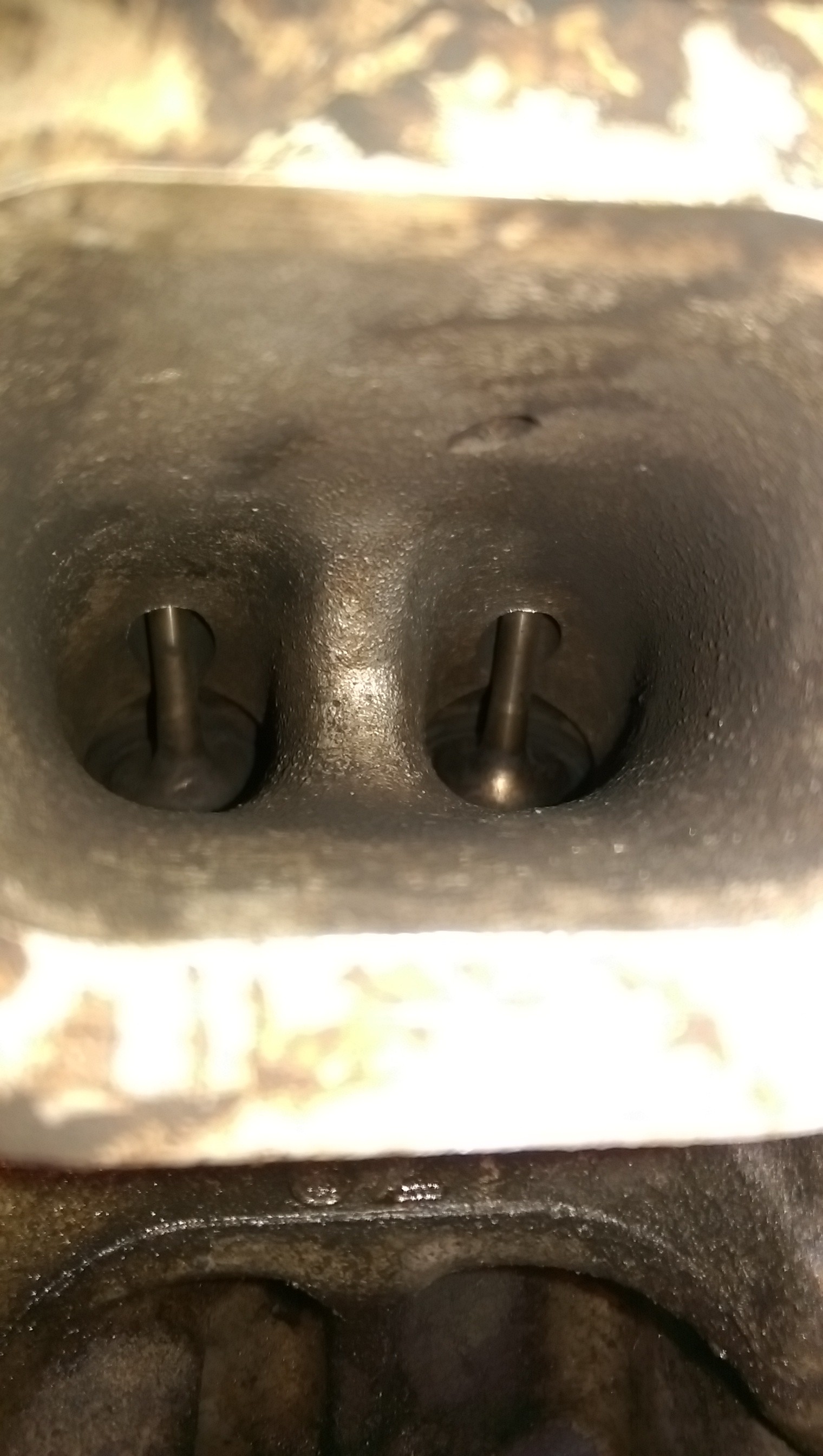 imag2588_7088644416.jpg