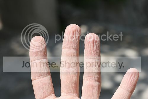 prunehands_zps04ffce97.jpg