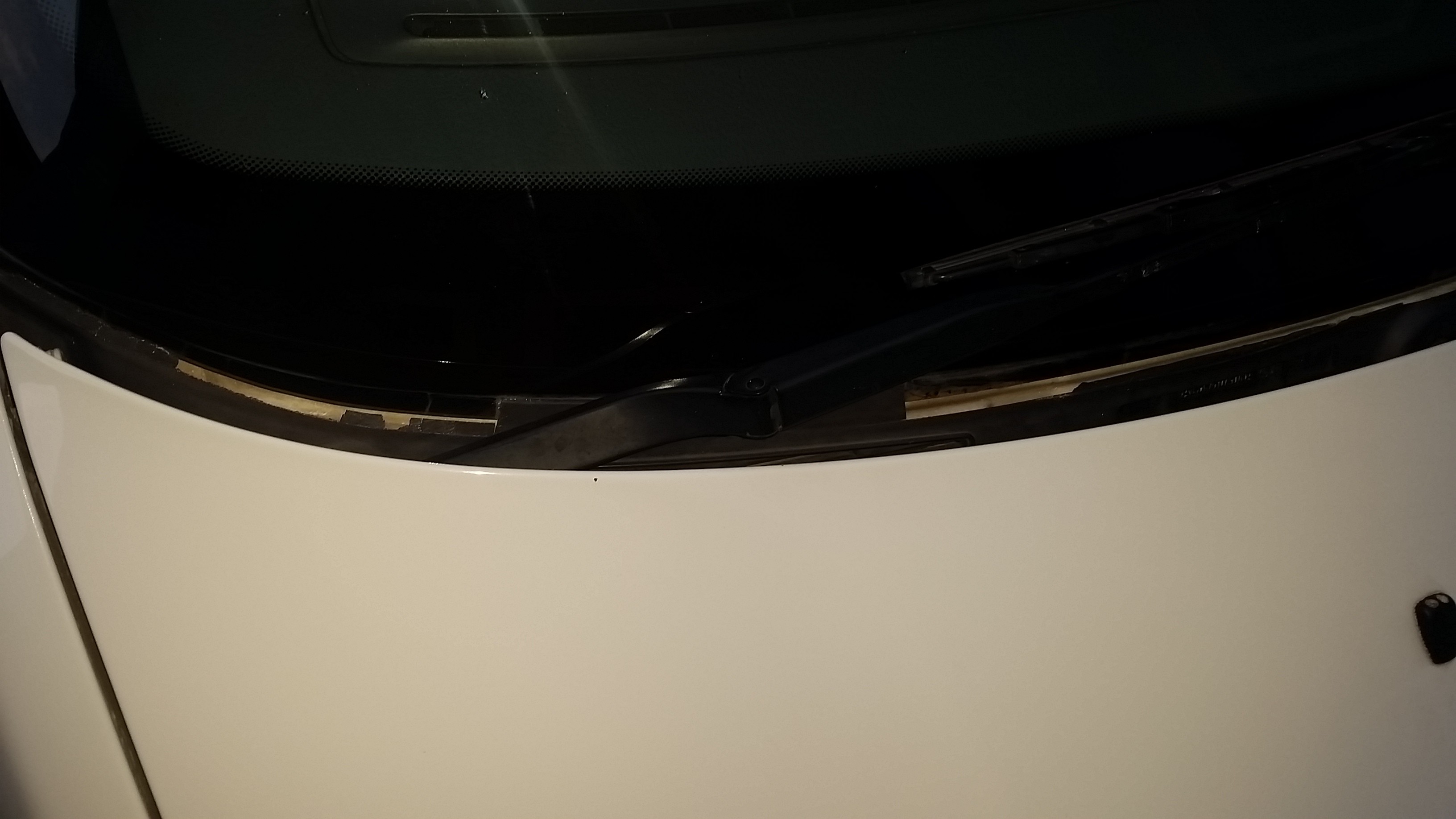 20150403_175934_7277985536.jpg