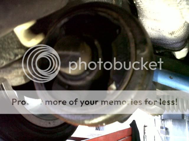 IMG00199-20120214-1417.jpg