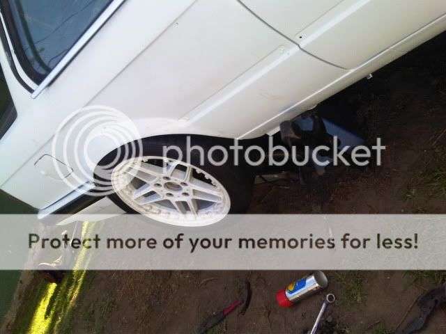 IMG00399-20101129-1629.jpg