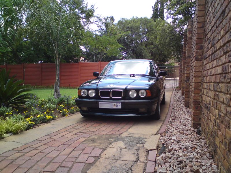 DSC01233_zps759783ee.jpg