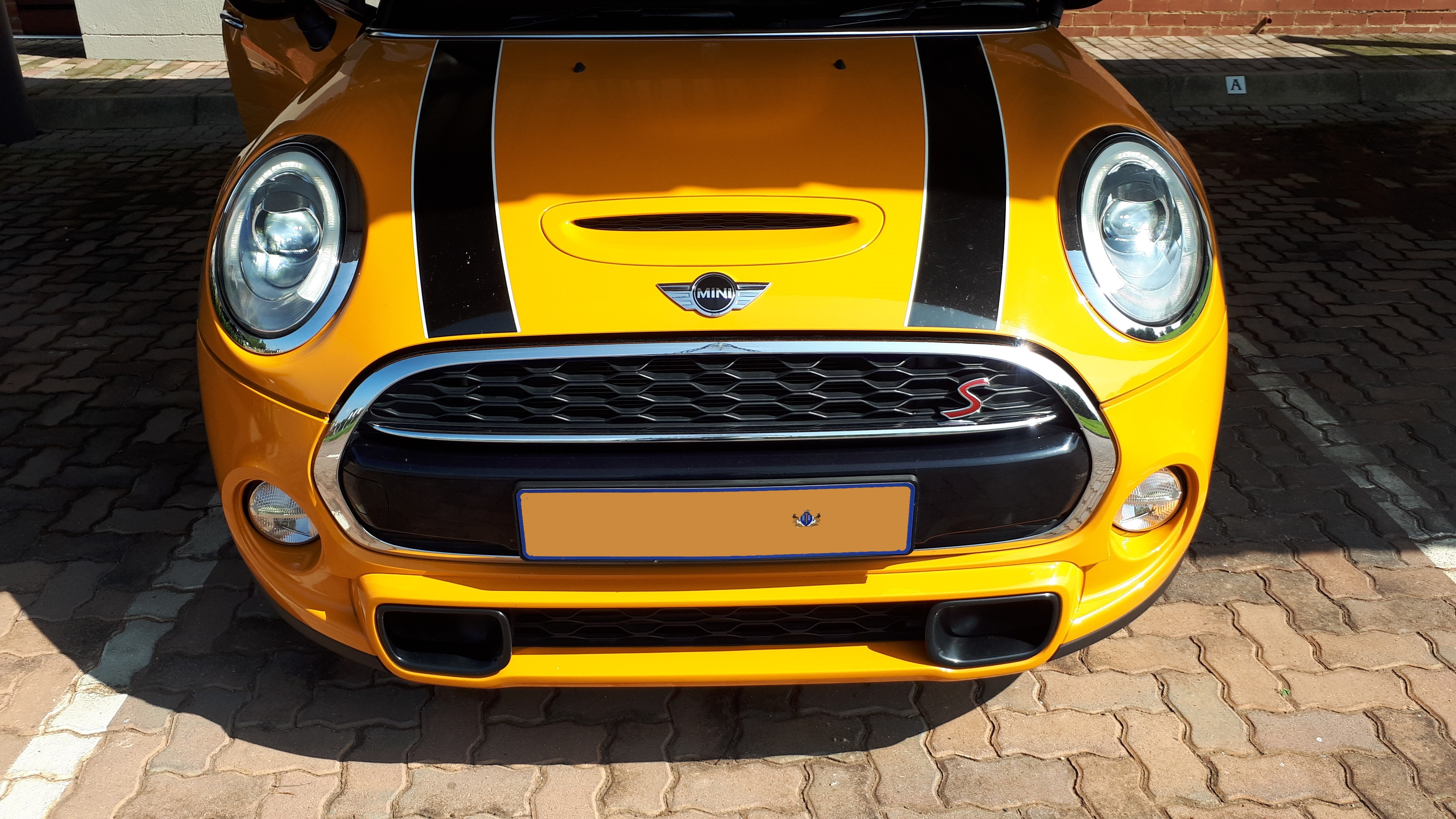 mini front_5740047036.jpg