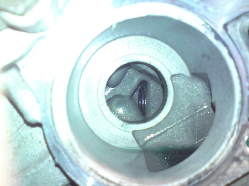 DSC01120.jpg