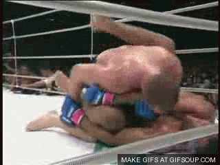 fedor-punches-nogueira-o.gif