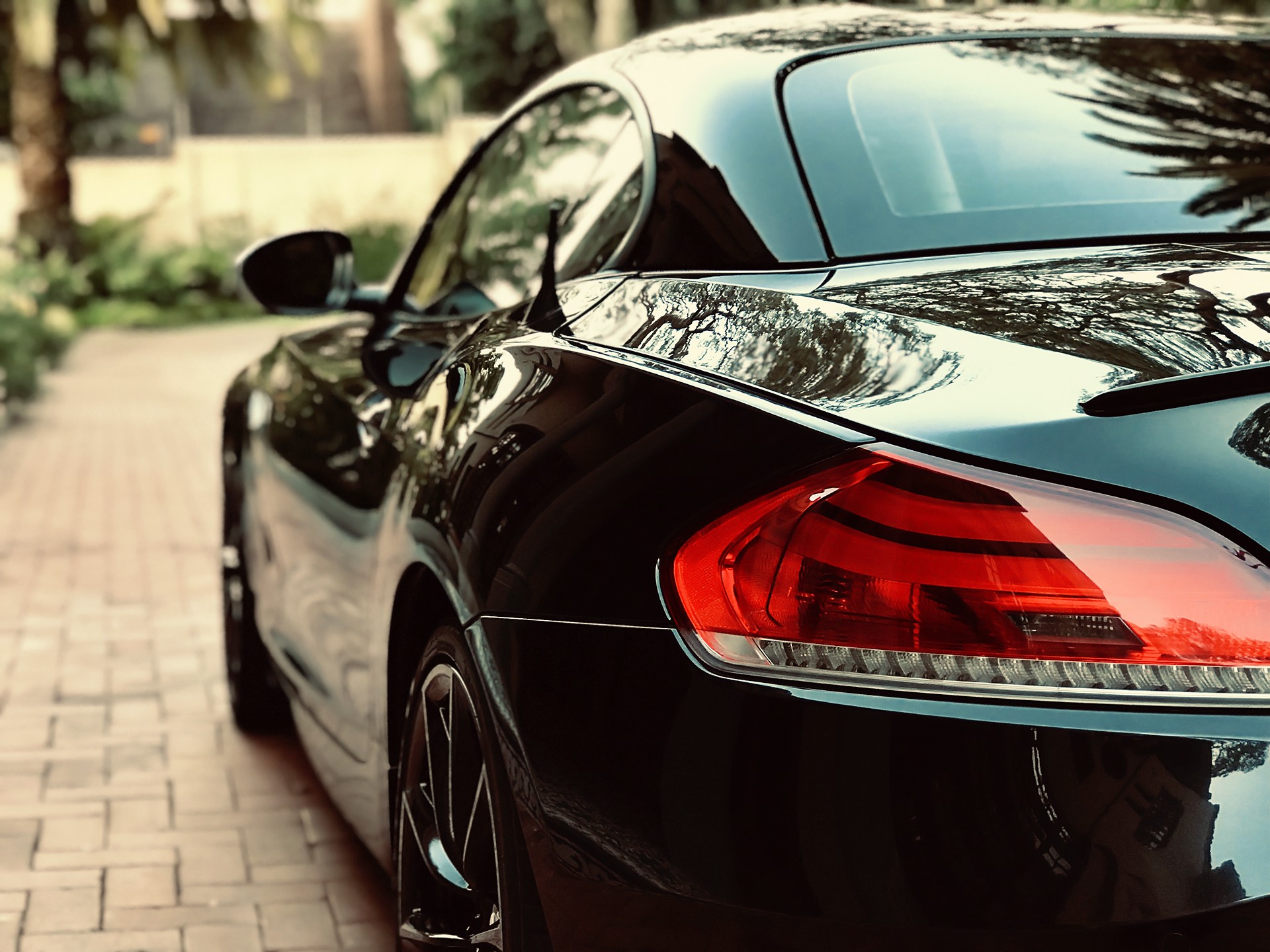 back_3399921990.jpg