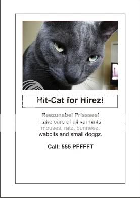 HITCAT.jpg