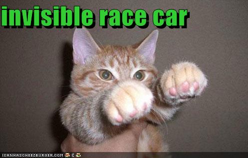 funny-pictures-cat-drives-an-invisible-racecar.jpg