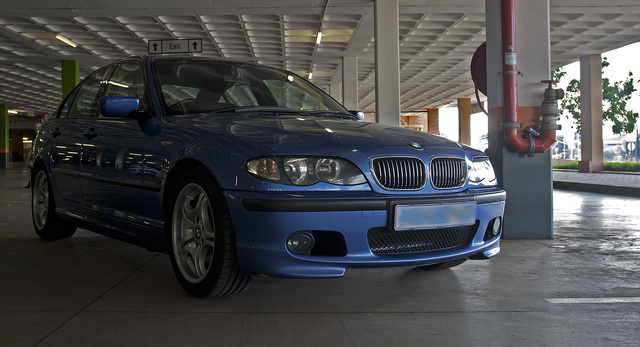 CRW_0795.jpg