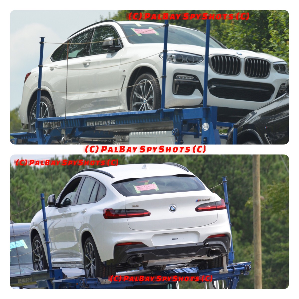 01503682510 (1)_6567373415.jpeg