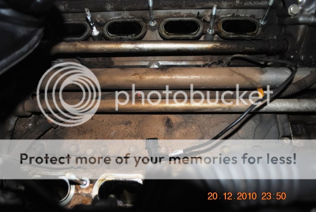 DSC_0121.jpg