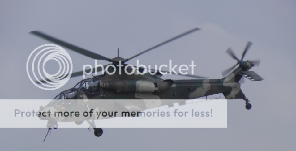 DSCN2079.jpg