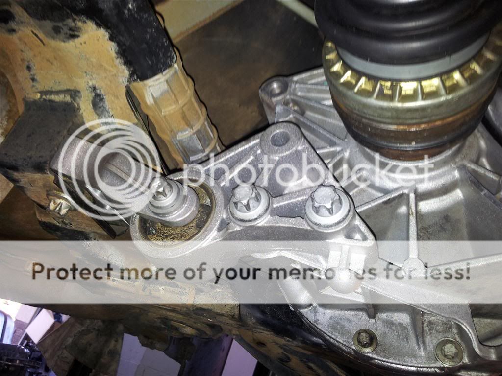 20120716_154910Medium.jpg