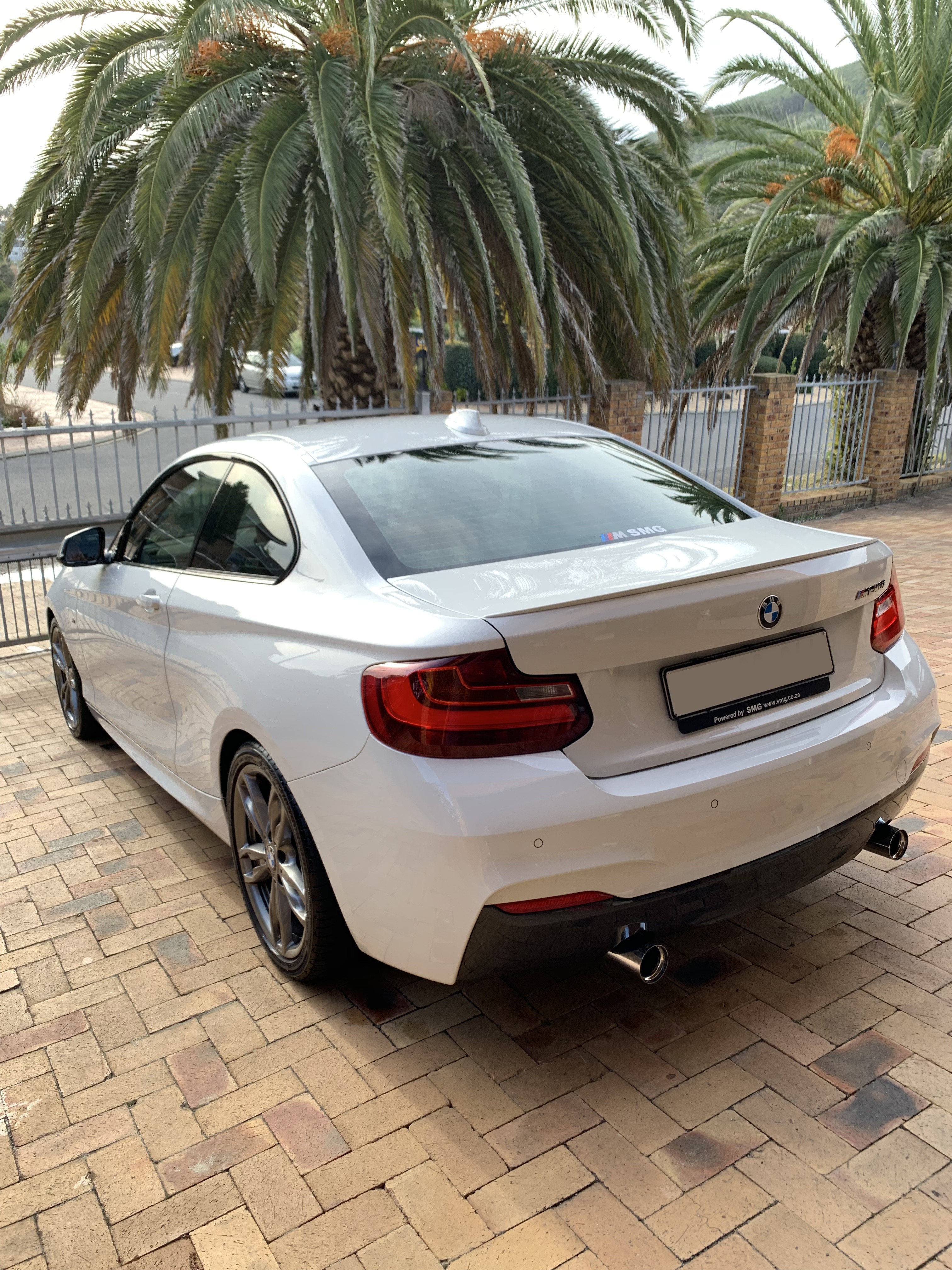 back_4922228101.jpg
