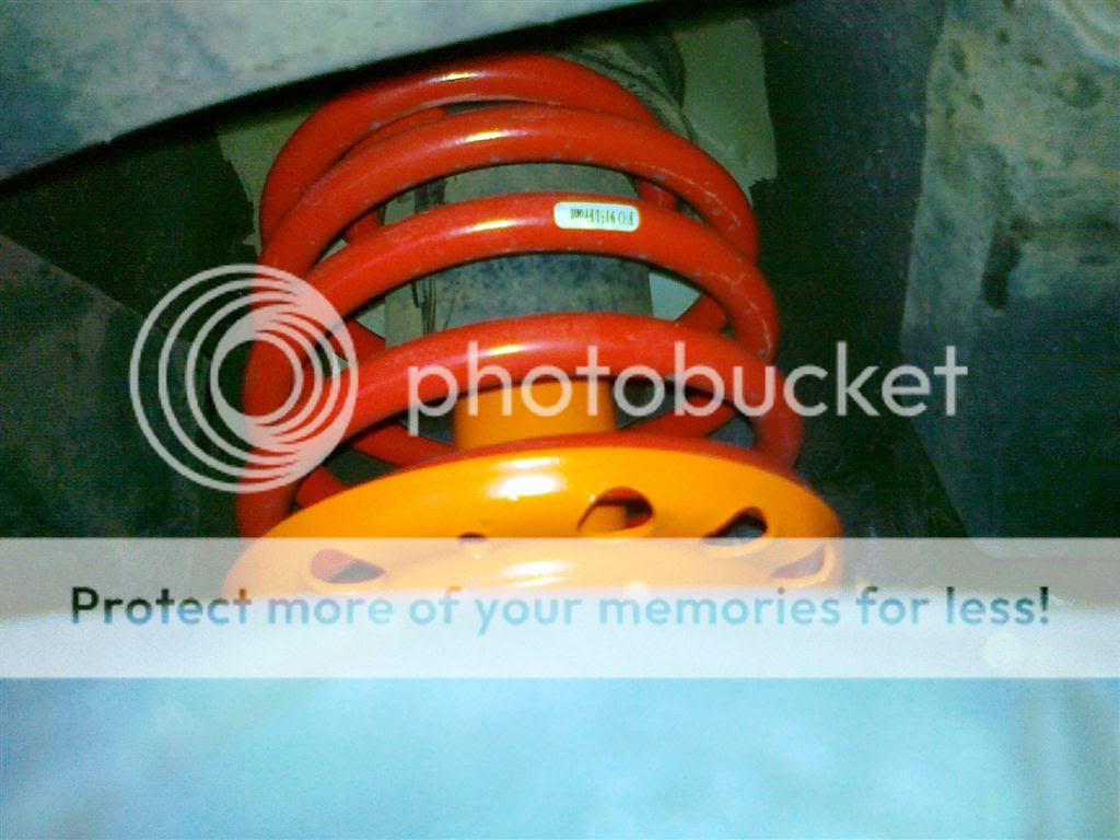 13022012571Medium.jpg