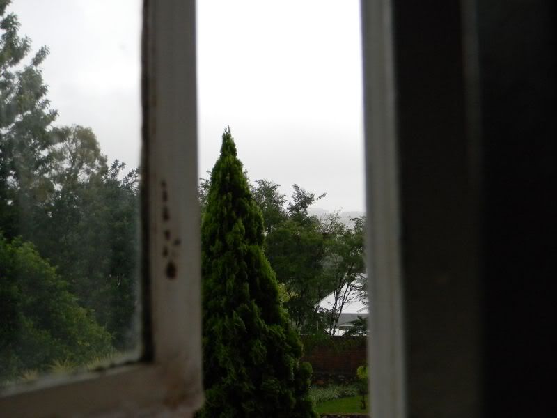 DSCN1651.jpg
