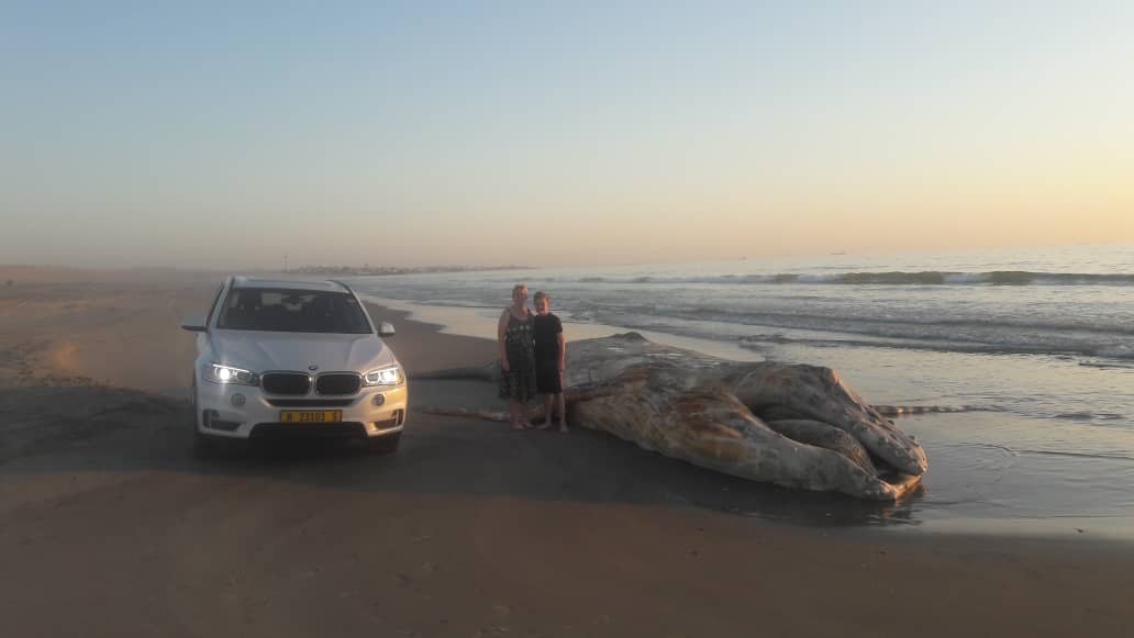img-20181026-wa0043_2431181883.jpg