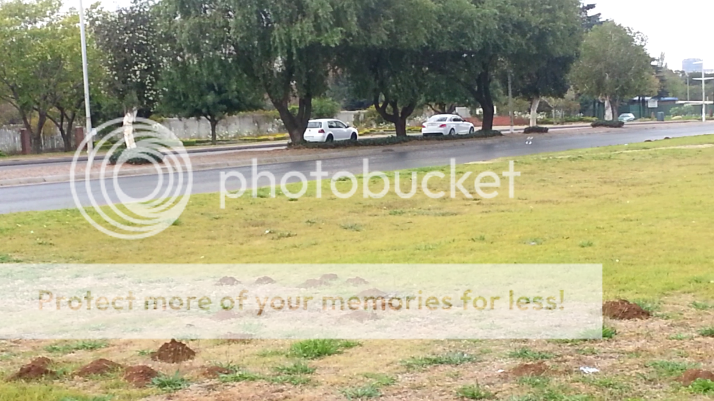 135ivs400hpgolf5_zps5161a5c6.png