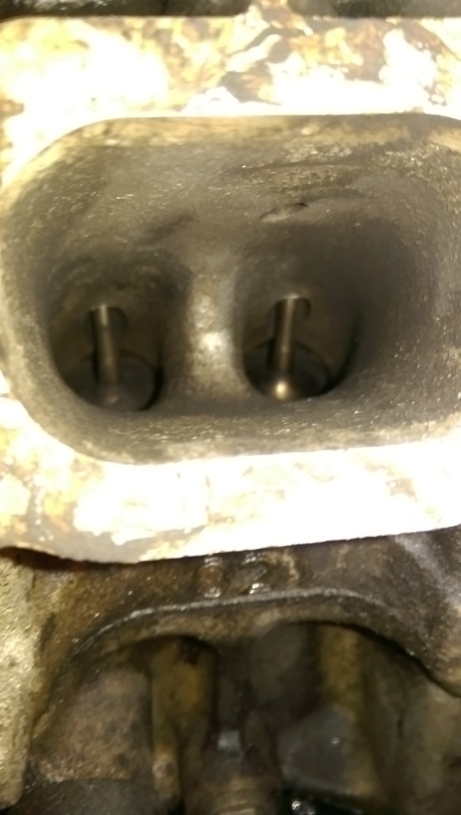 imag2590_2299169916.jpg